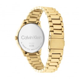 Montre Femme Calvin Klein - Collection Iconic Bracelet - Style Tendance - Réf. 25200043